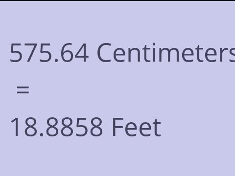 575.64 CM TO FEET