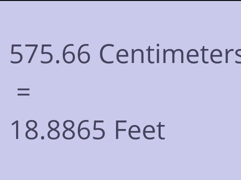 575.66 CM TO FEET