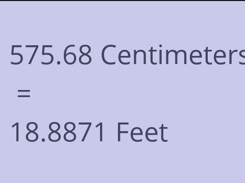 575.68 CM TO FEET