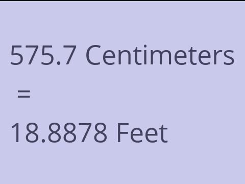 575.7 CM TO FEET