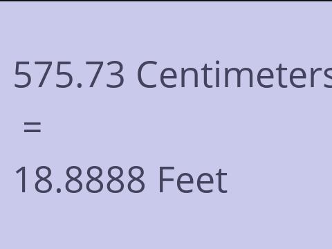 575.73 CM TO FEET