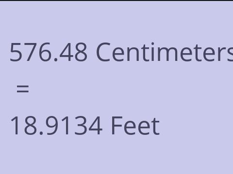 576.48 CM TO FEET