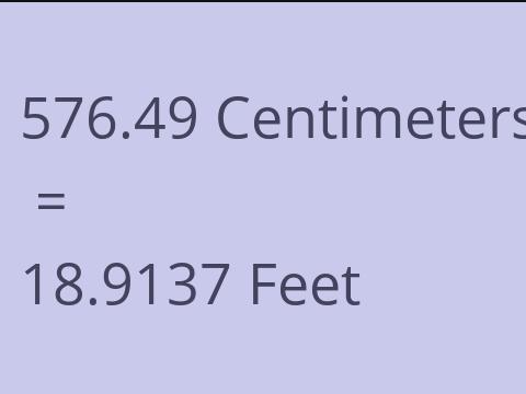 576.49 CM TO FEET