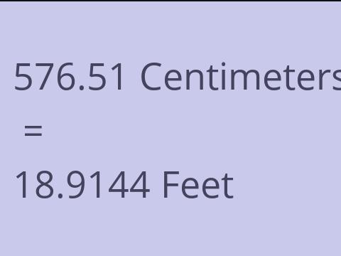 576.51 CM TO FEET