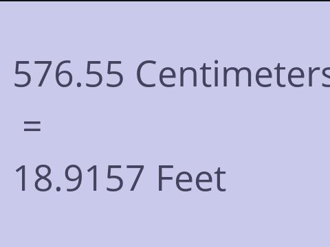 576.55 CM TO FEET