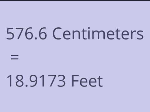 576.6 CM TO FEET