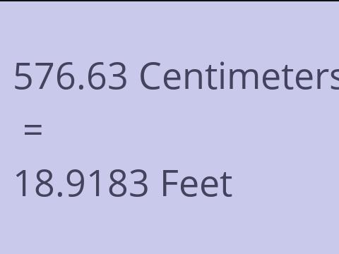 576.63 CM TO FEET