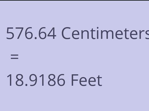 576.64 CM TO FEET