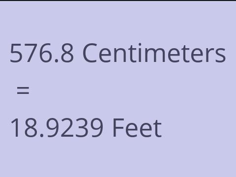 576.8 CM TO FEET