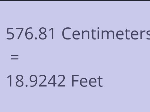 576.81 CM TO FEET