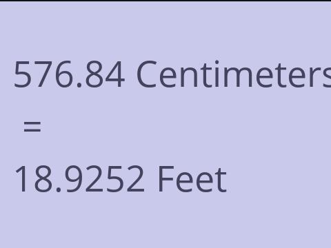 576.84 CM TO FEET