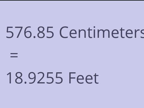 576.85 CM TO FEET