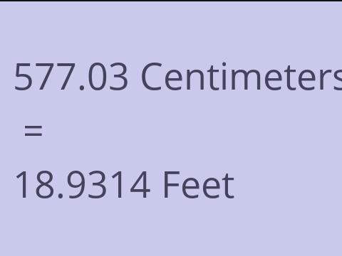 577.03 CM TO FEET