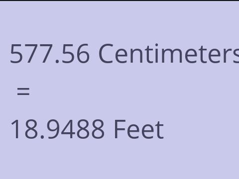 577.56 CM TO FEET