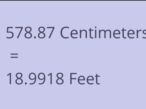 578.87 CM TO FEET