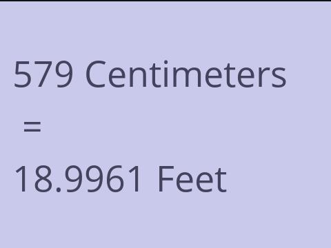 579 CM TO FEET