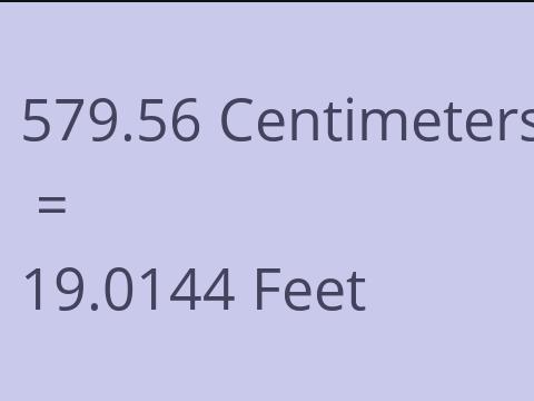 579.56 CM TO FEET