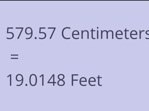 579.57 CM TO FEET