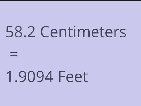 58.2 CM TO FEET