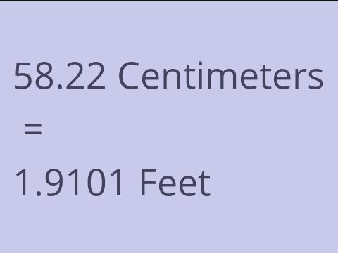 58.22 CM TO FEET