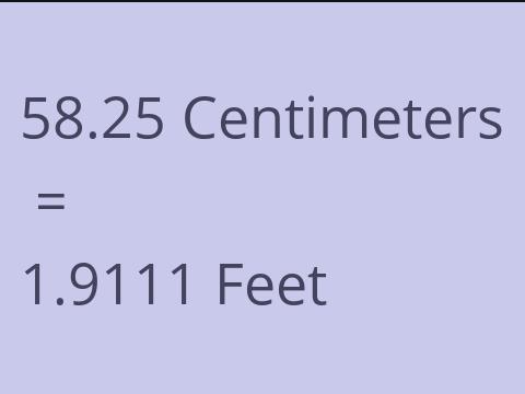 58.25 CM TO FEET