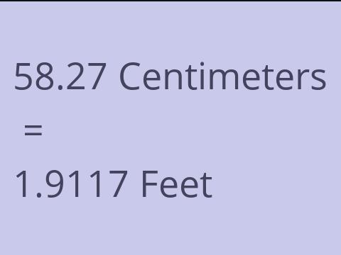 58.27 CM TO FEET