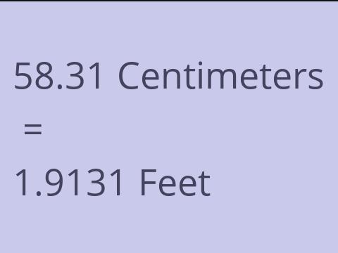 58.31 CM TO FEET