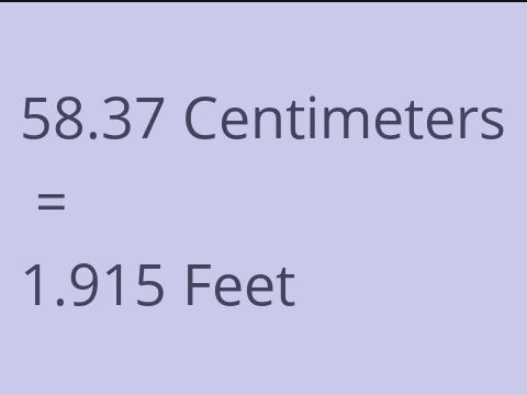 58.37 CM TO FEET