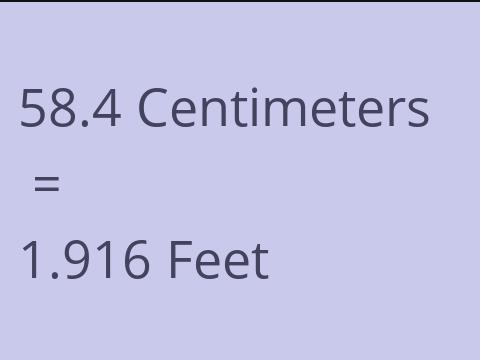 58.4 CM TO FEET