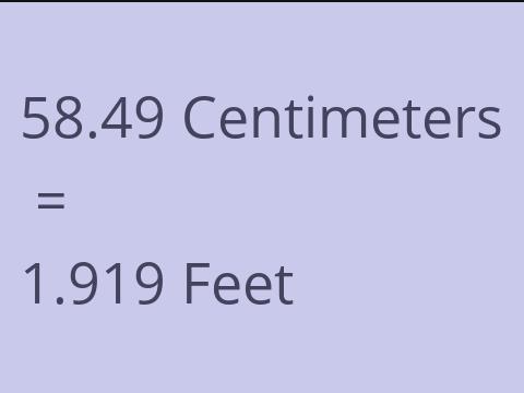 58.49 CM TO FEET