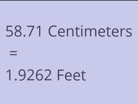 58.71 CM TO FEET