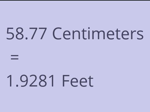 58.77 CM TO FEET