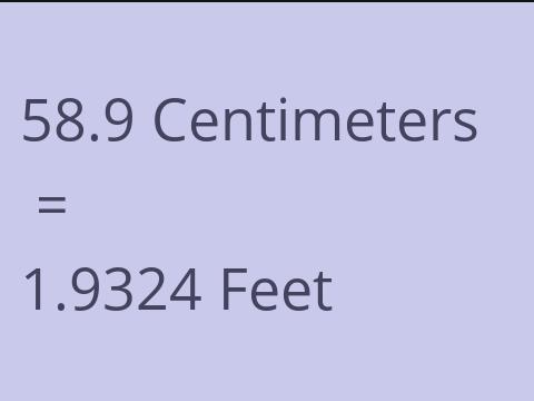 58.9 CM TO FEET