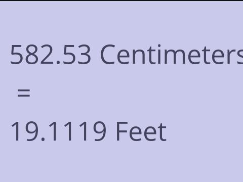 582.53 CM TO FEET