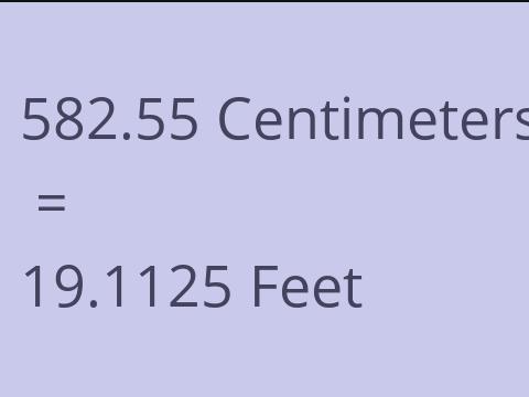 582.55 CM TO FEET