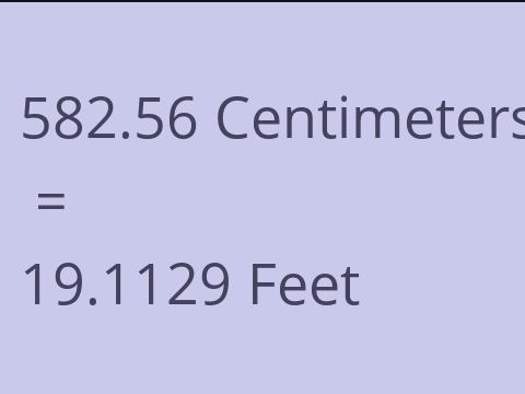 582.56 CM TO FEET