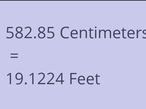 582.85 CM TO FEET