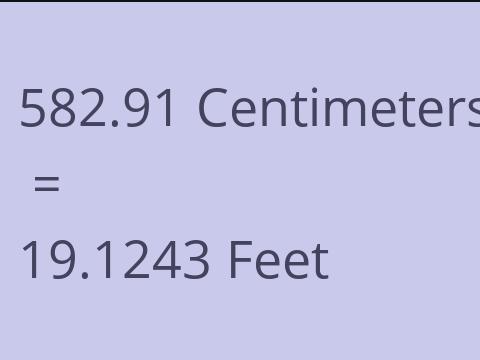 582.91 CM TO FEET