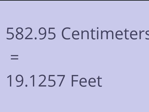 582.95 CM TO FEET