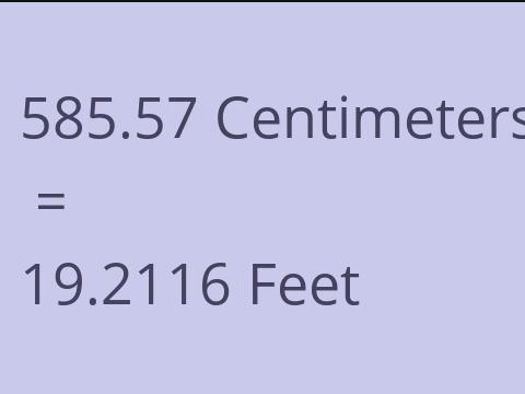 585.57 CM TO FEET