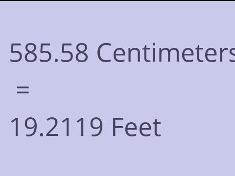 585.58 CM TO FEET