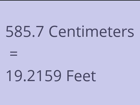 585.7 CM TO FEET