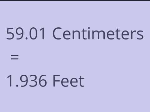 59.01 CM TO FEET