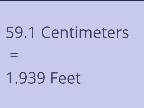 59.1 CM TO FEET