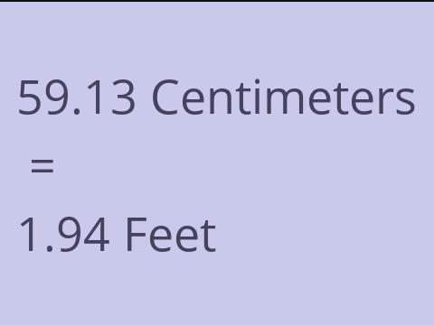 59.13 CM TO FEET