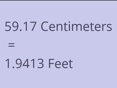 59.17 CM TO FEET