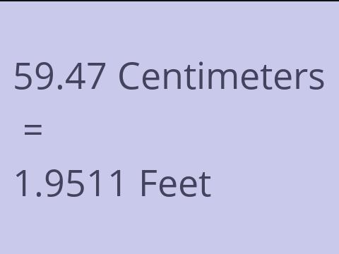 59.47 CM TO FEET