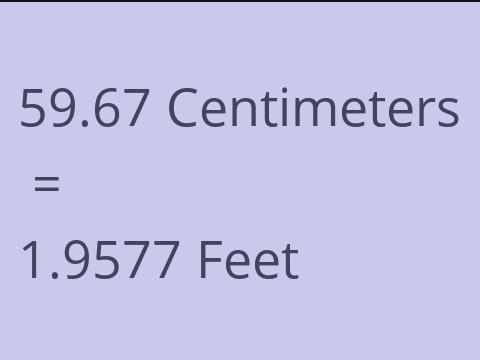 59.67 CM TO FEET