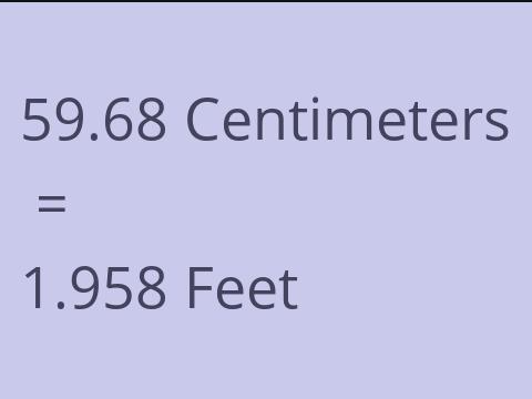 59.68 CM TO FEET