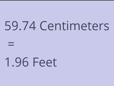 59.74 CM TO FEET